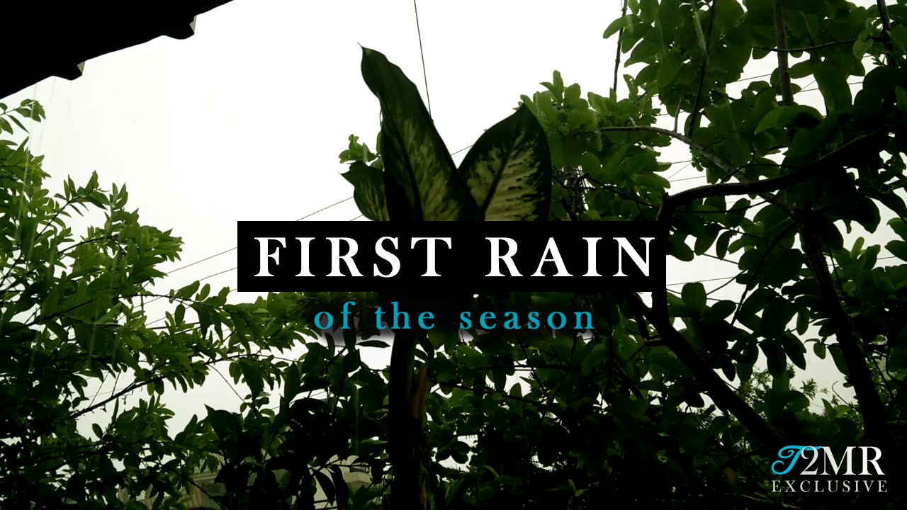 Monsoon: The First Rain of the Season