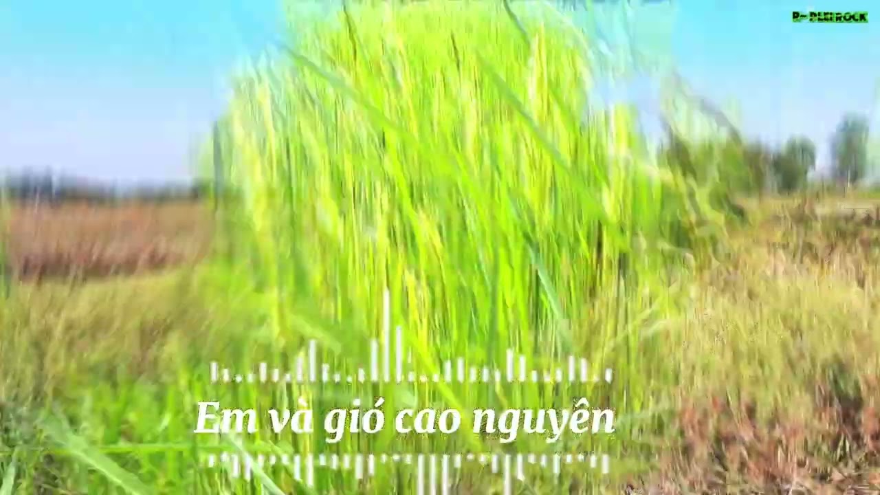 🎸 EM VÀ GIÓ CAO NGUYÊN - R- PLEI ROCK