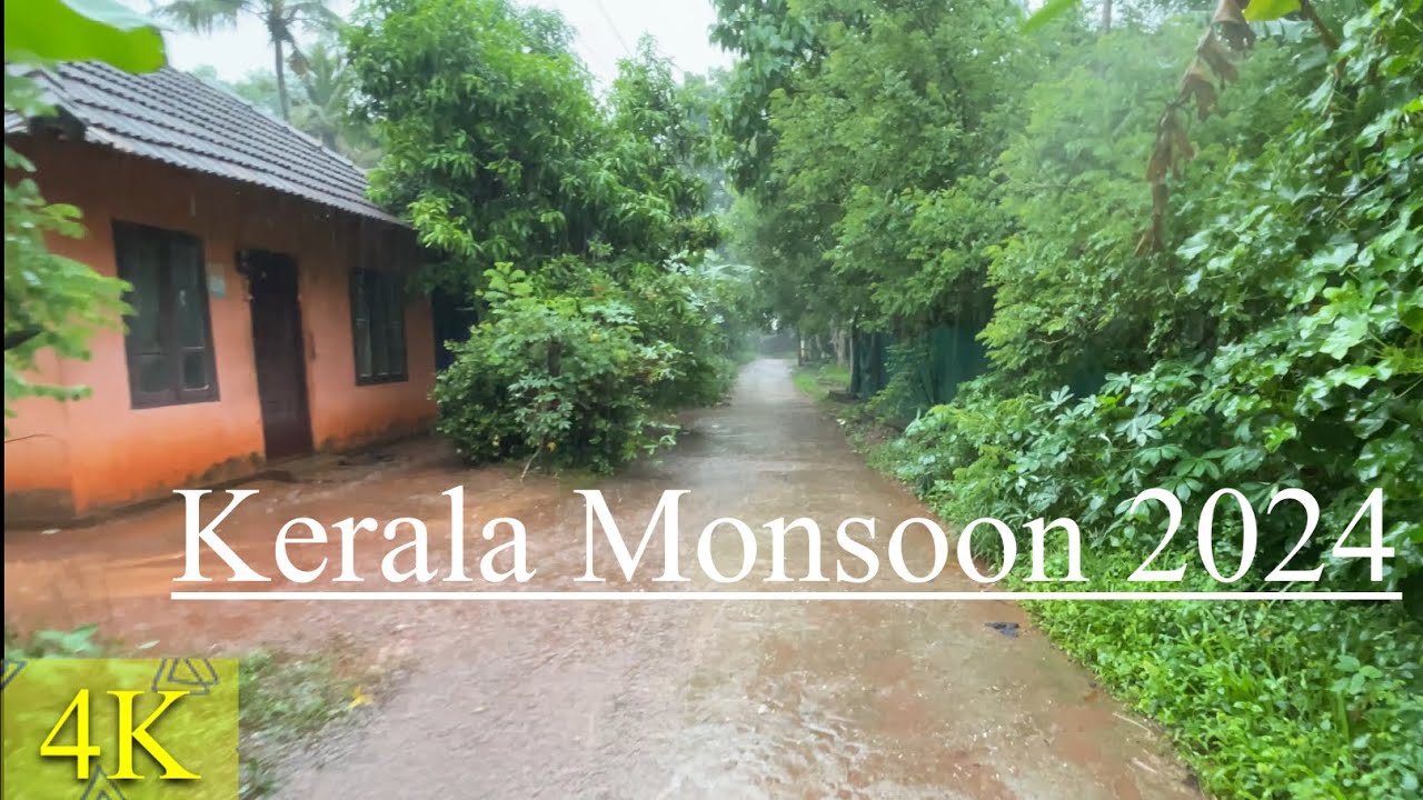 Kerala Monsoon Started | 4K Rain-ambience | Mind Relaxing Asmr walking video | Nomad Ambience