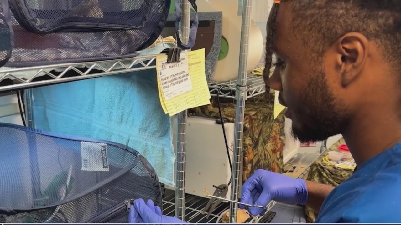 Summer internship program at the North Carolina Zoo