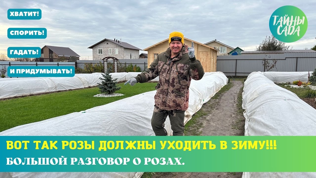 ВОТ ТАК РОЗЫ ДОЛЖНЫ УХОДИТЬ В ЗИМУ! И НИКАК ИНАЧЕ! РОЗЫ ОСЕНЬЮ. ВСЁ ЧТО НУЖНО ЗНАТЬ!