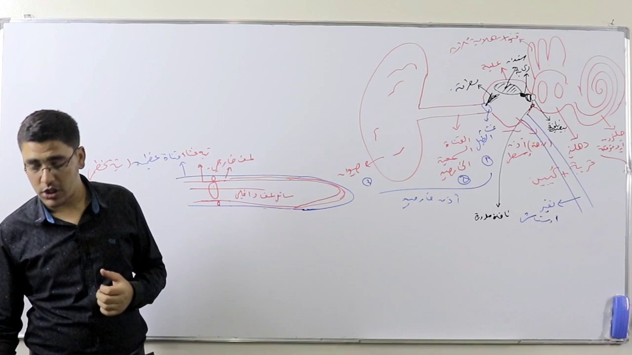 25 - المستقبلات الصوتية الدرس الأول