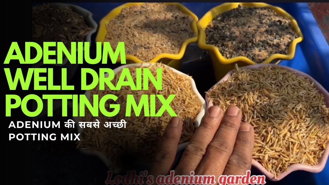 adenium के लिए वेल ड्रेन पोटिंग मिक्स 