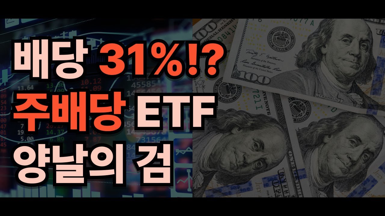 주배당 31%?! 극단적 변동성의 XDTE 완전 분석