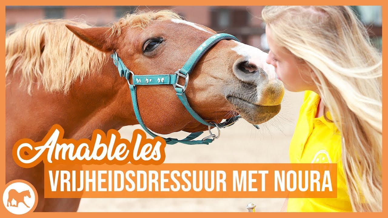 Hoefwijzer krijgt vrijheidsdressuur les met Noura