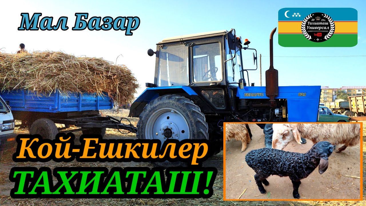 МАЛ БАЗАР 🐐 СКОТНЫЙ РЫНОК 23.03.25ж.#тахиаташ#каракалпакистан#бахалары#цены#баран#овцы#козы#корм