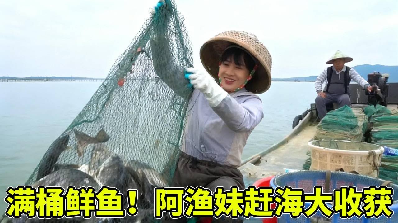 阿渔妹赶海爆桶！捕鱼收获堆成小山，每一条都肥美，这趟赶海太值了