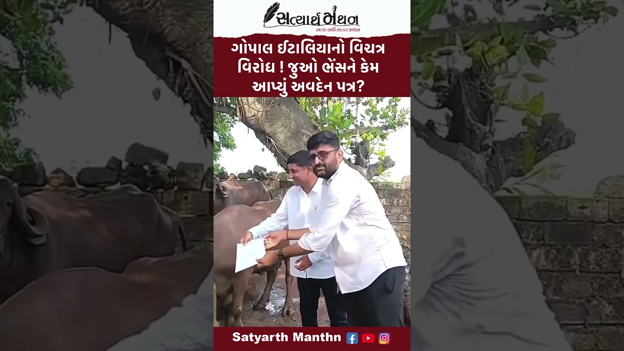 #shorts Gopal Italia નો વિચિત્ર વિરોધ ! ભેંસને કેમ આપ્યું આવેદન ? | Bjp Gujarat | News