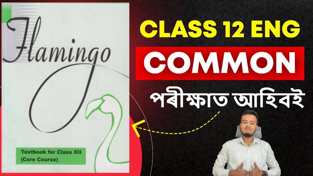 Class 12 English Common Questions for HS Final 2026 AHSEC : ইয়াৰ পৰা পৰীক্ষাত আহিবই