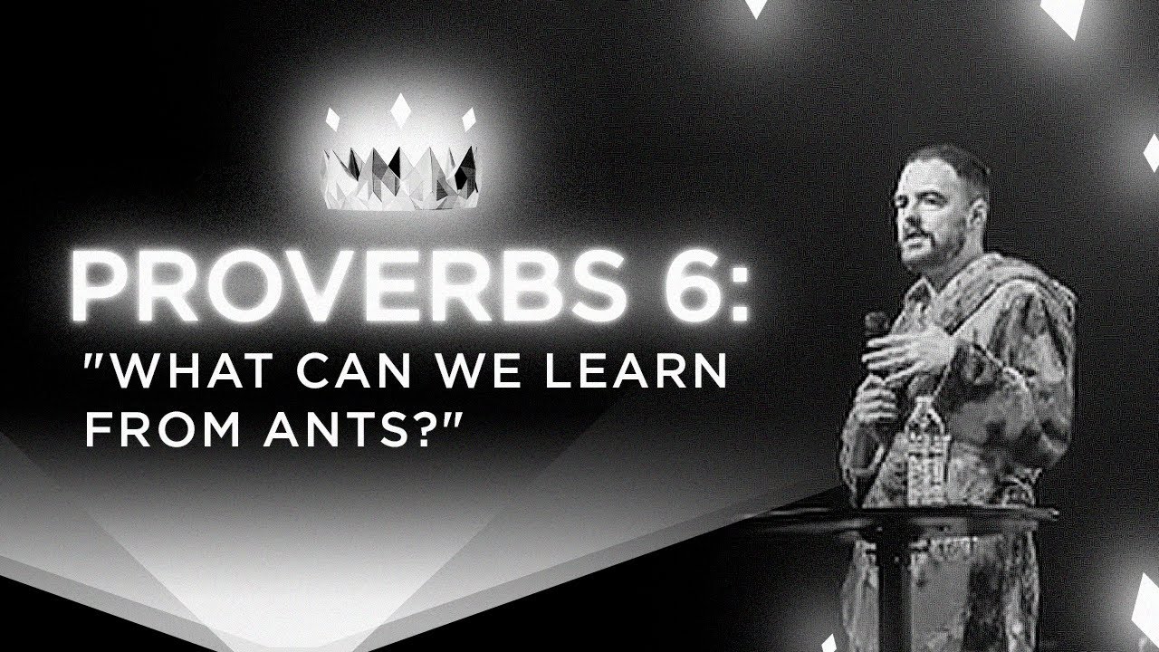 Proverbs 6 Bible Study (Verse by Verse)