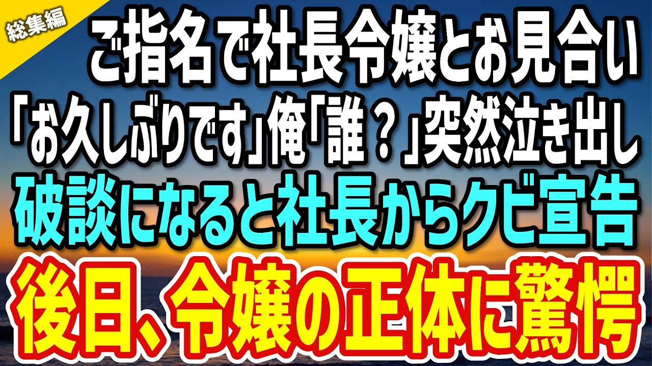【感動する話】取引先に指名され社長令嬢とお見合いをすることに。「お久しぶりです」俺「え？誰？」すると突然泣き出し破談に→激怒した社長からクビ宣告…数日後、思わぬ形で令嬢の正体が…【総集編】