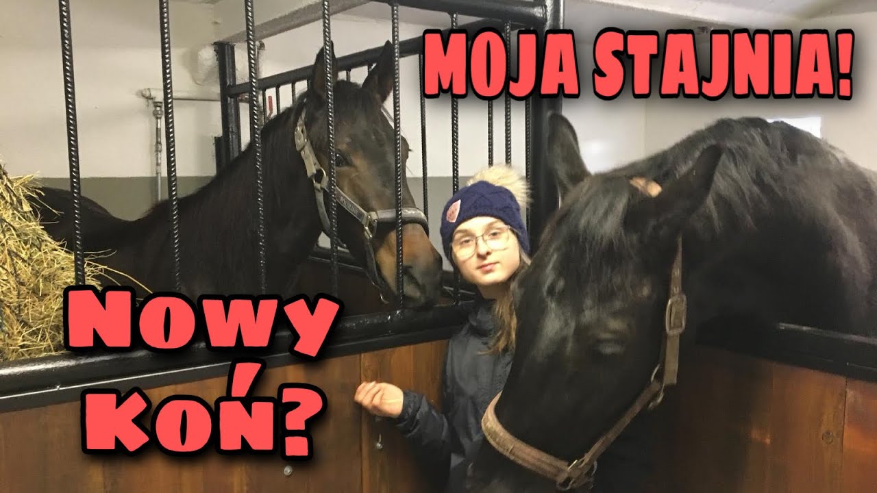 MOJA STAJNIA! ❤️|  Nowy koń?