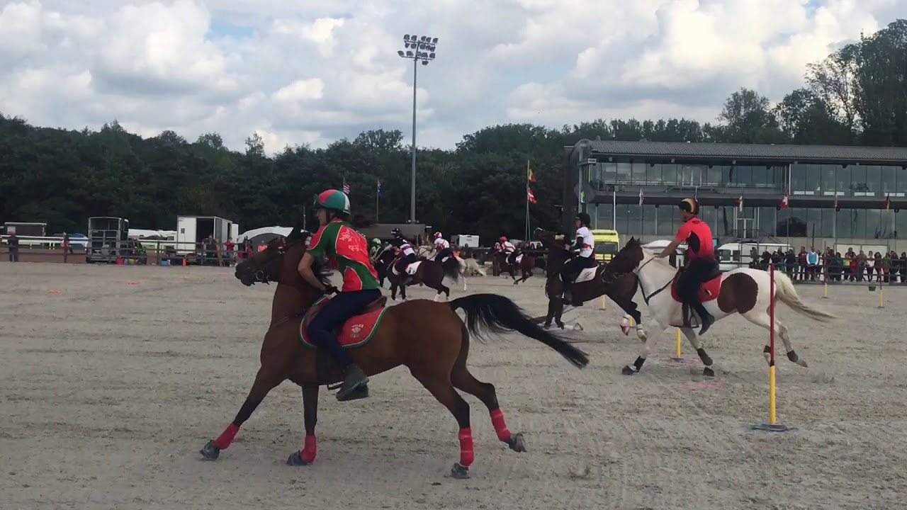 MGA World Team Championships 2018- Muffin
