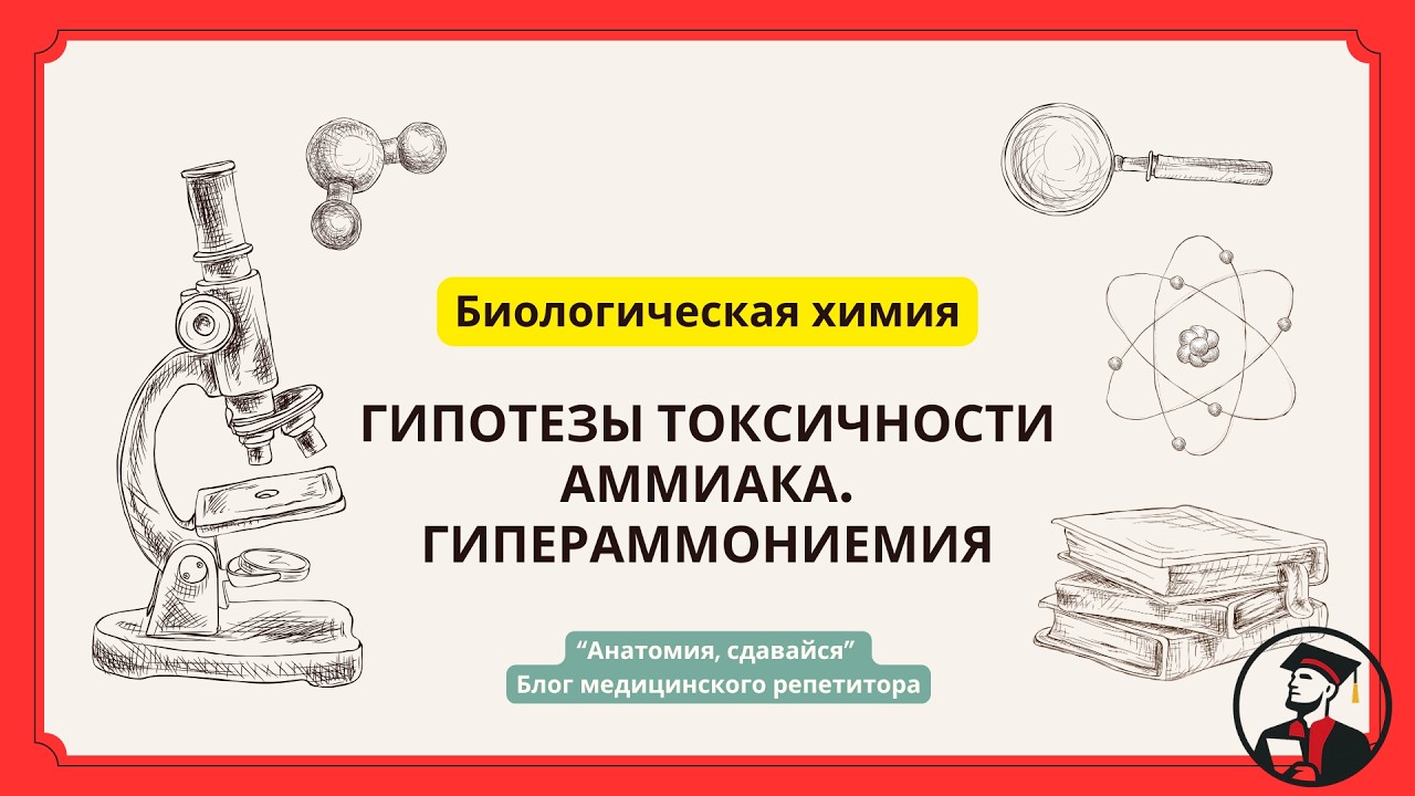 Гипотезы токсичности аммиака, Гипераммониемия - причины и симптомы. #биохимия #аминокислоты