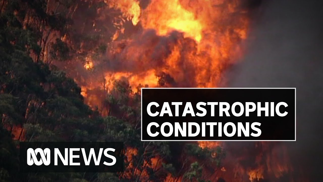 NSW faces second catastrophic fire danger warning | ABC News