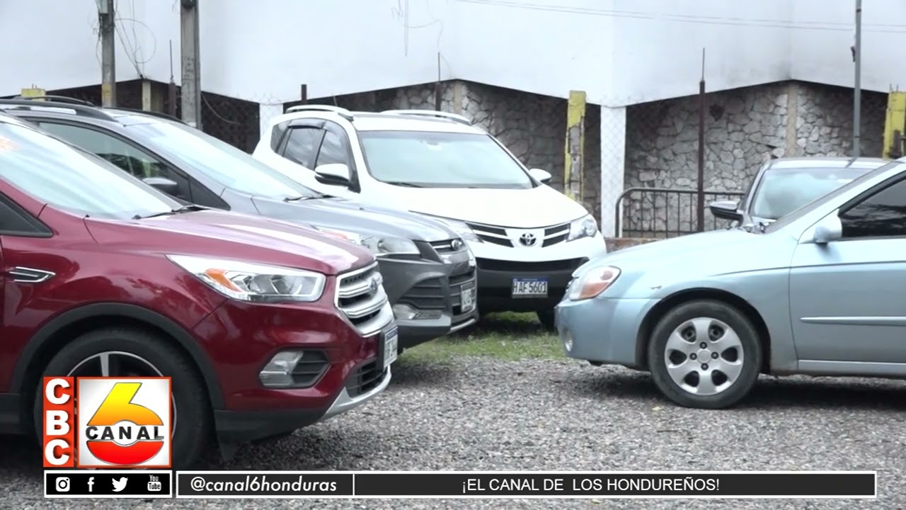 Importadores de vehículos reportan caída de ventas en comparación con 2023