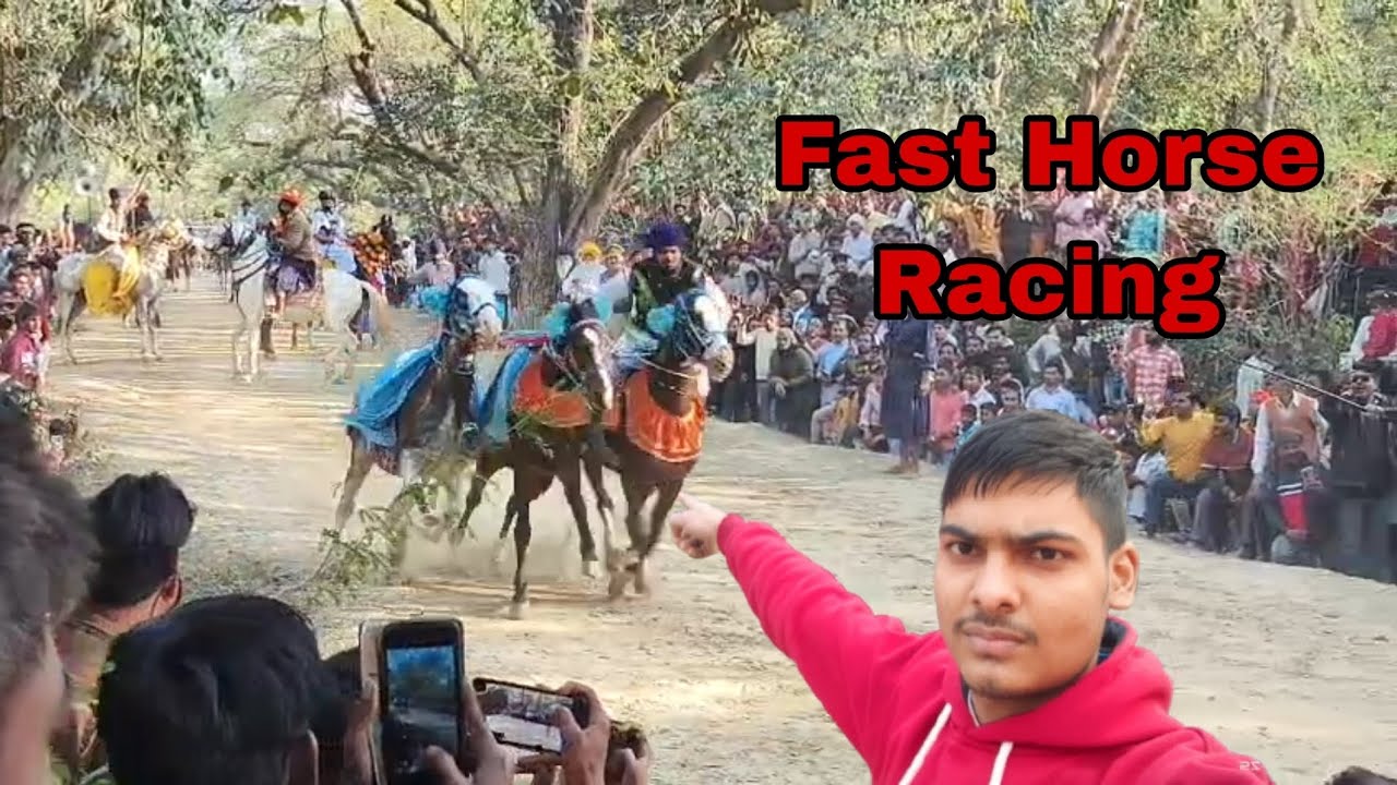 Fast horse racing, horse racing v/s public