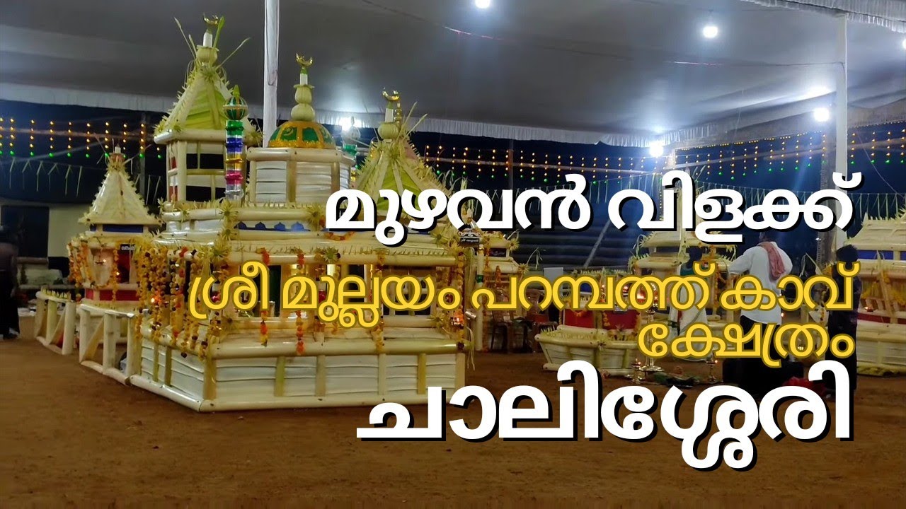 ചാലിശ്ശേരി വിളക്ക് l Chalissery Sree Mullayam Parambhathu Temple Ayyappan Vilakku #ayyappanvilakku