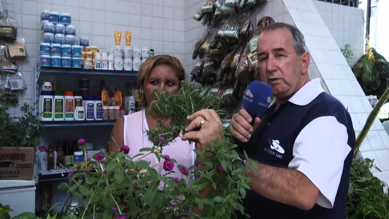 As plantas medicinais da famosa barraca da Mara