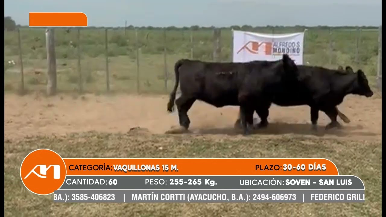 LOTE 76