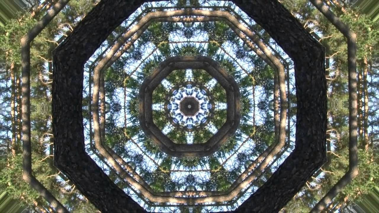 Dream Catcher by The Muses Rapt