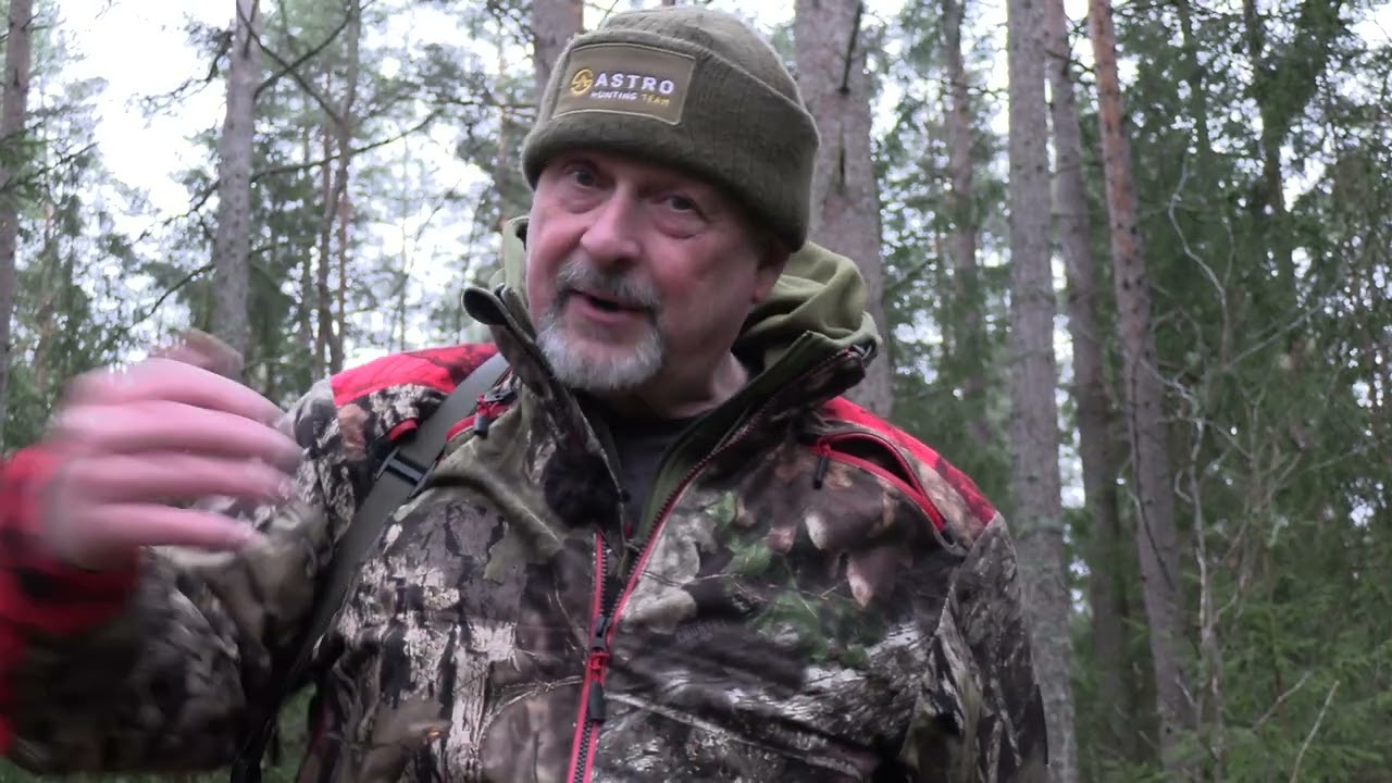 Vildsvinsjakt - Tips och tricks n&auml;r hunden st&auml;ller gris
