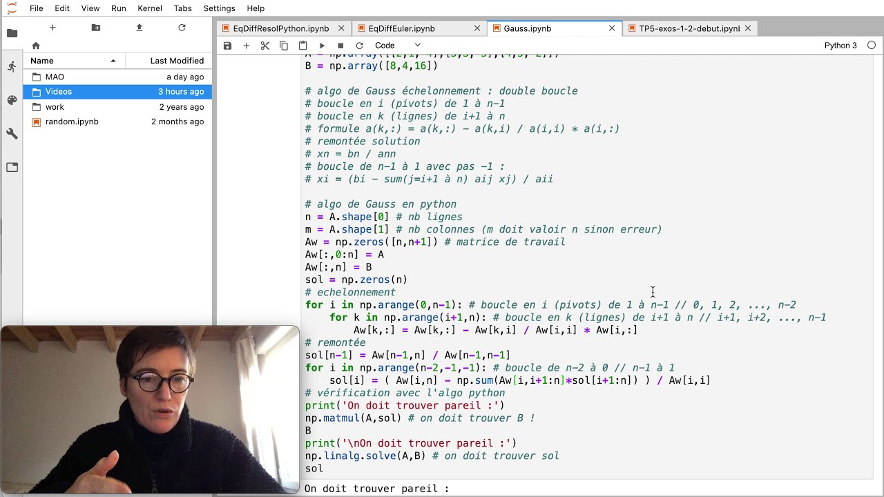 Codage de l'algorithme du pivot de Gauss : Résolution de systèmes linéaires [Python pour les maths]