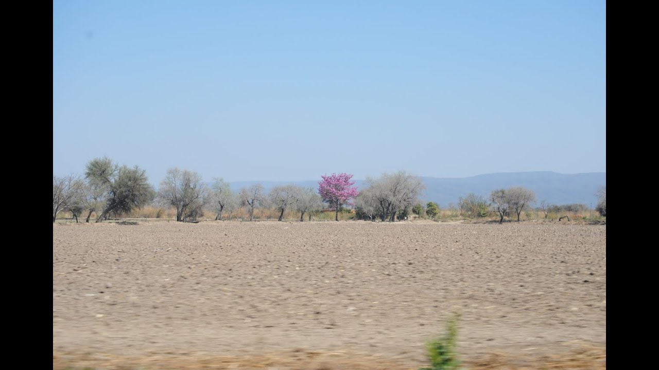Los Andes (G.Celano)