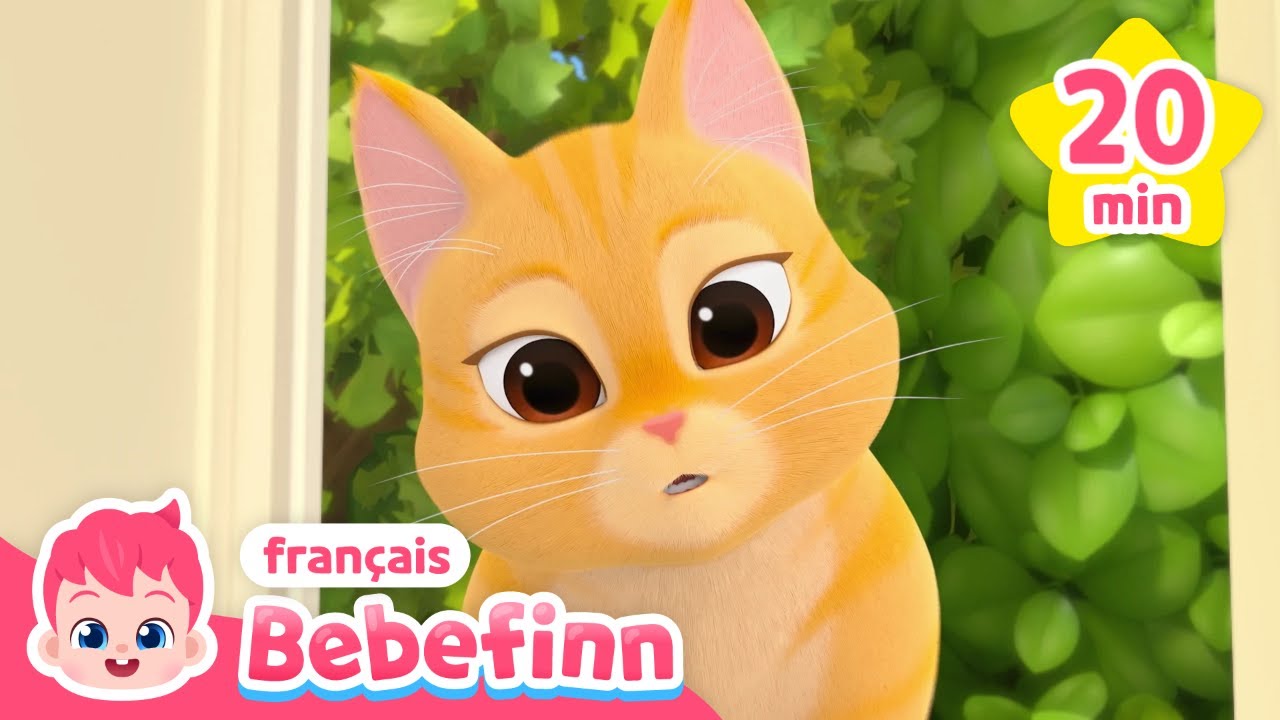 🐱 Le mignon chat Boo 💕 | +Comptines | Bebefinn en français👶Chansons pour Enfants