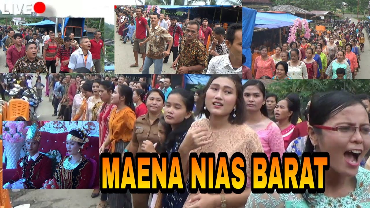Maena Nias ||Tarian Adat Yang Seruh || Peserta Maena Lumayan Ramai || Pesta Nikah Wahyu Harefa
