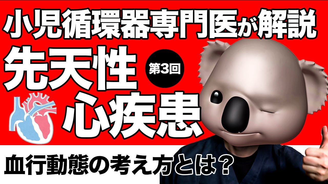 【先天性心疾患】血行動態の考え方とは？【第三回】
