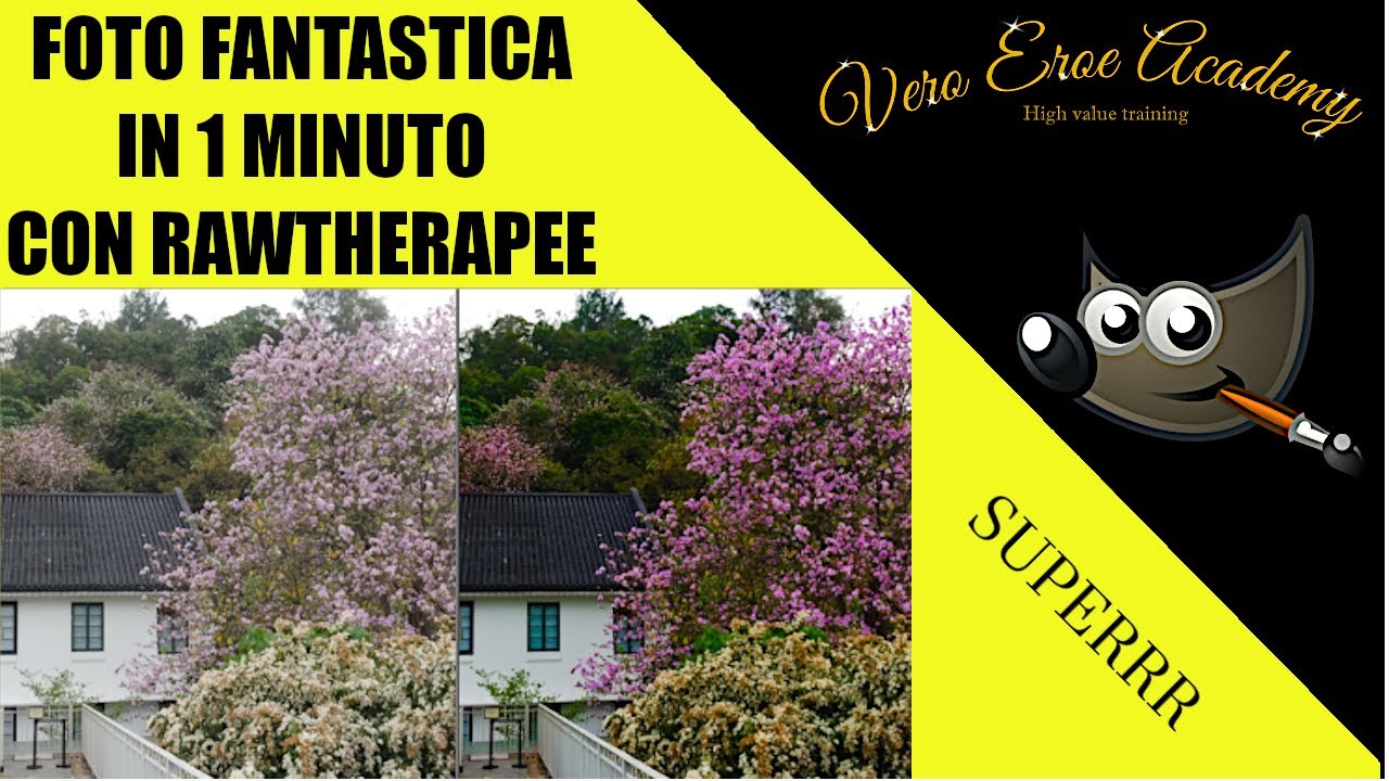 FOTO FANTASTICA IN UN MINUTO CON RAWTHERAPEE