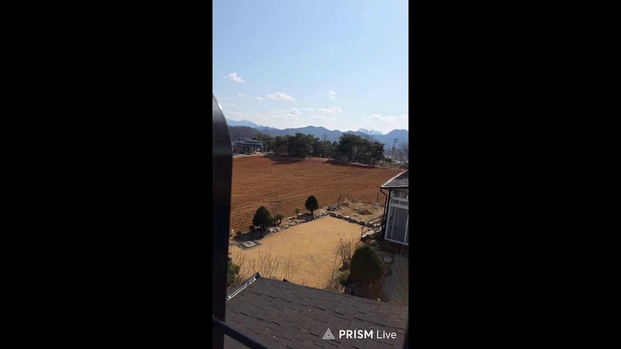 봄이왔다요