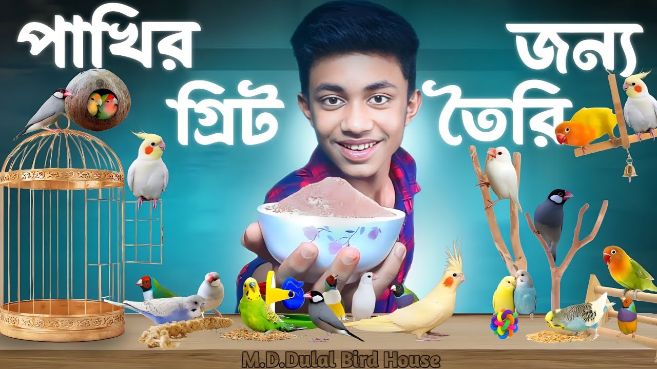 গ্রিট | ১৫ টি উপাদান দিয়ে পাখির জন্য গ্রিট তৈরি | Bird's Grit
