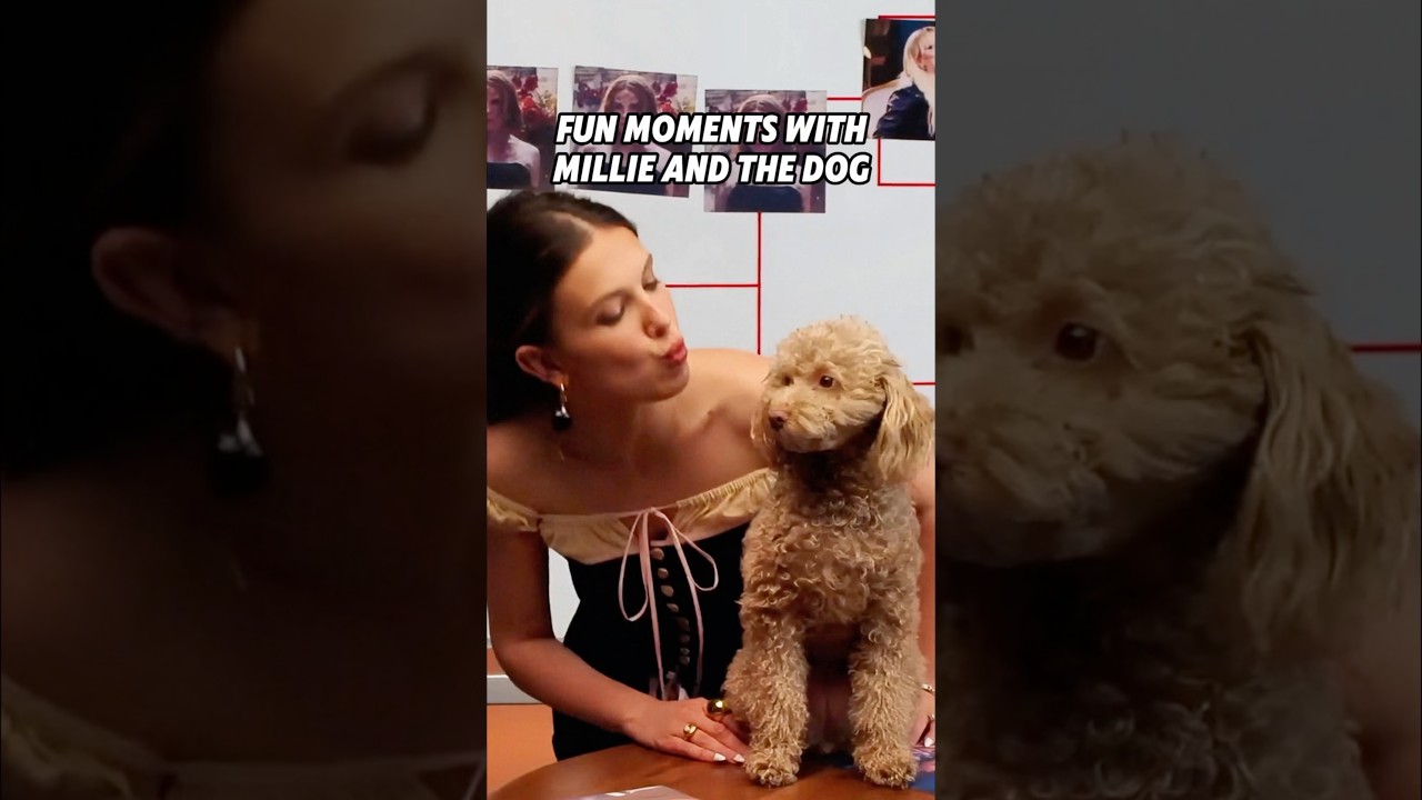 Fun moments with millie and the dog 