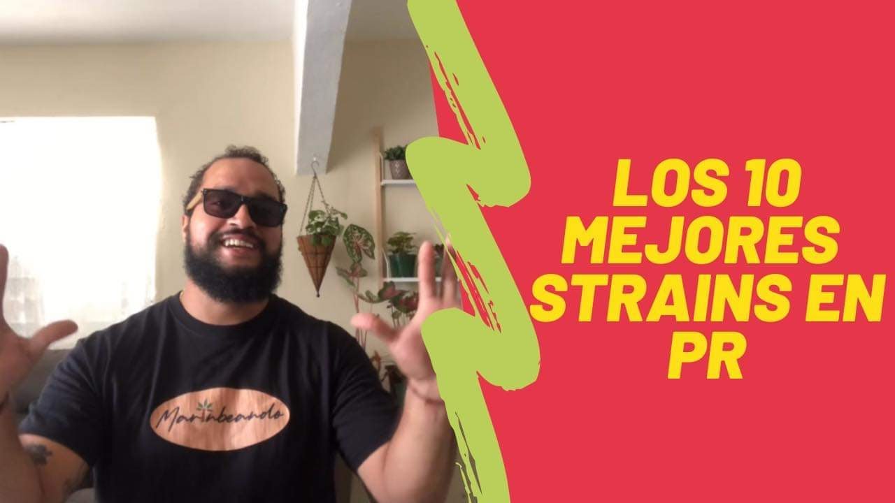 The Top 10 Best Cannabis Strains in Puerto Rico