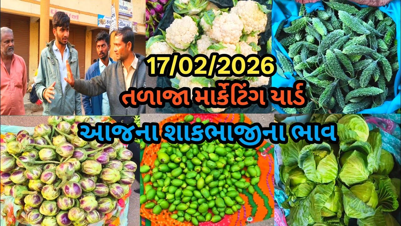  તળાજા માર્કેટિંગ યાર્ડ આજના શાકભાજી ના ભાવ 