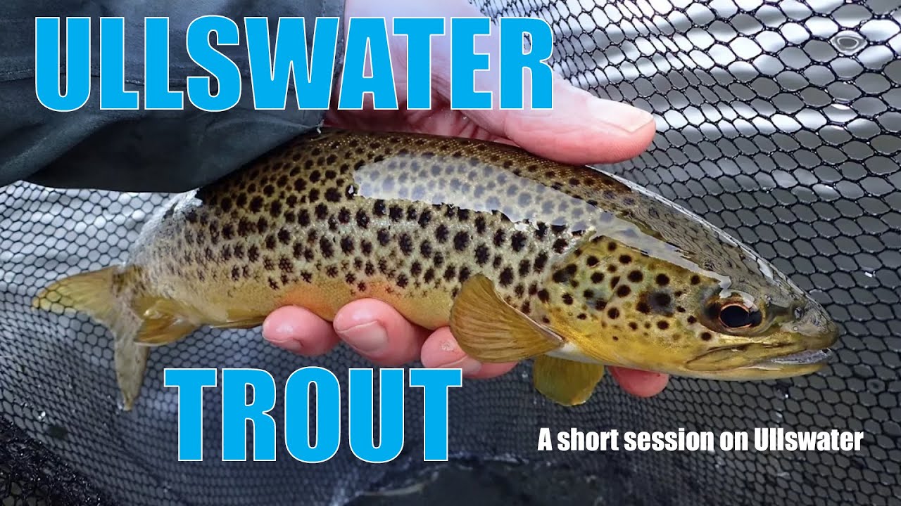 Ullswater - Flyfishing in the English Lakes District