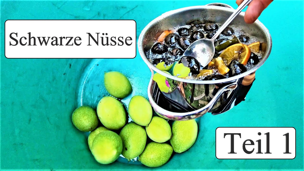 Schwarze Nüsse | Grüne Walnüsse ernten
