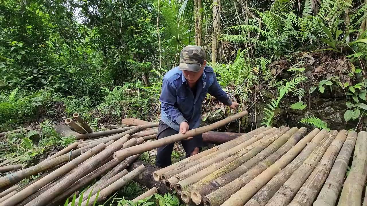 Mr Triêu Son “Low-Cost Pig Pen Construction | Buying Piglets to Raise on the Farm”