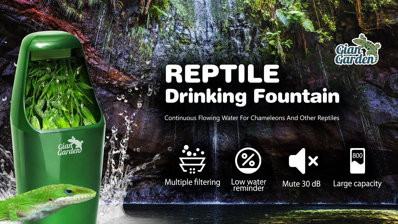 Giangarden Reptile Water Fountain