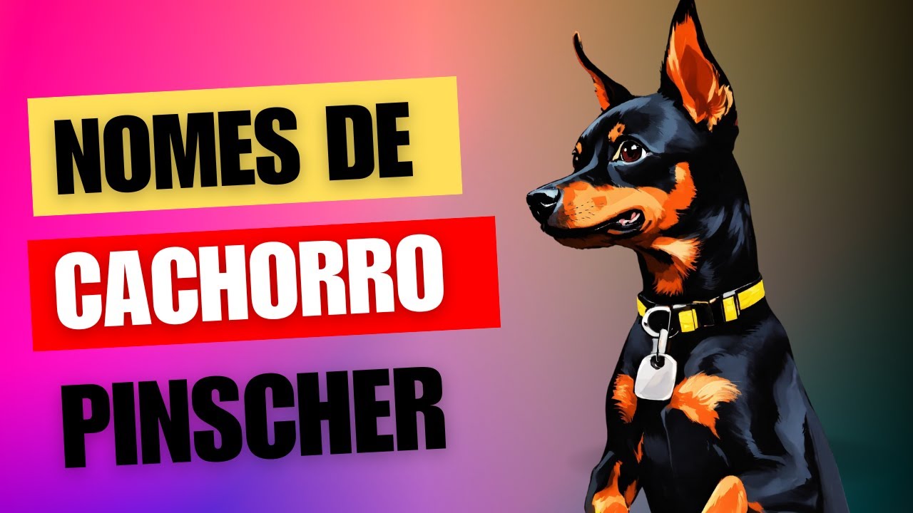 NOMES DE CACHORRO PINSCHER
