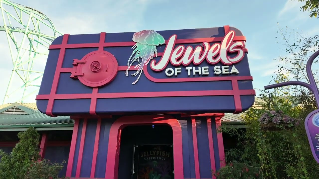 Jewels of The Sea Jellyfish Exhibit and Belugas at Sea World San Diego