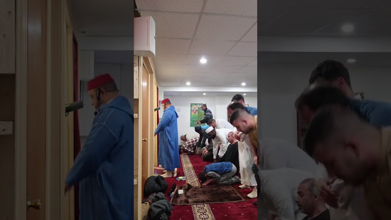 صلاة التراويح. للقارئ بدر ابوبكر 