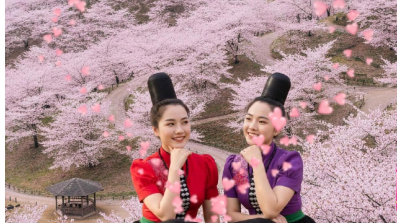 BAI KHẮP BƯỜN CHIỀNG PHÙA MIA NHA KÈN ĐẢY