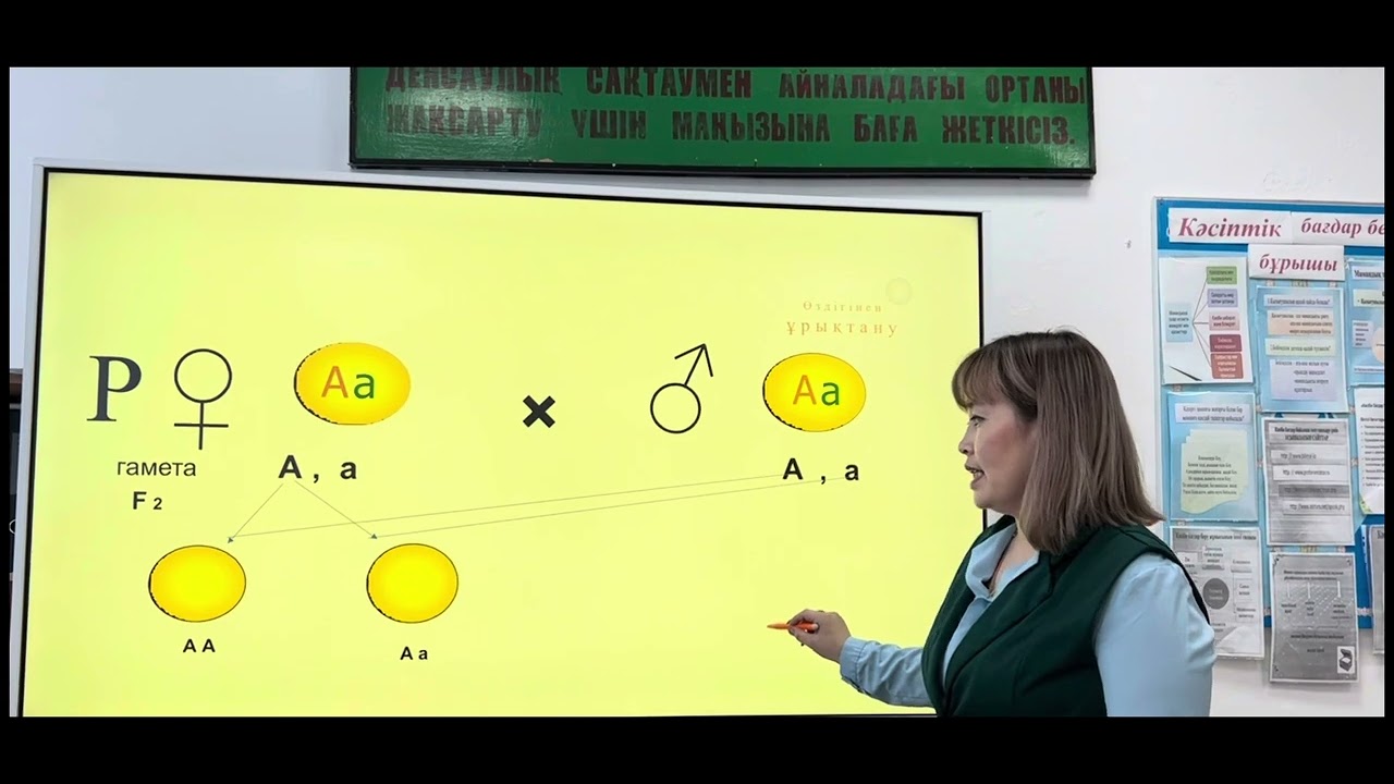 Сабақтың тақырыбы: “Моногибридті және дигибридті будандастыру. Басымдылық заңы. Ажырау заңы”