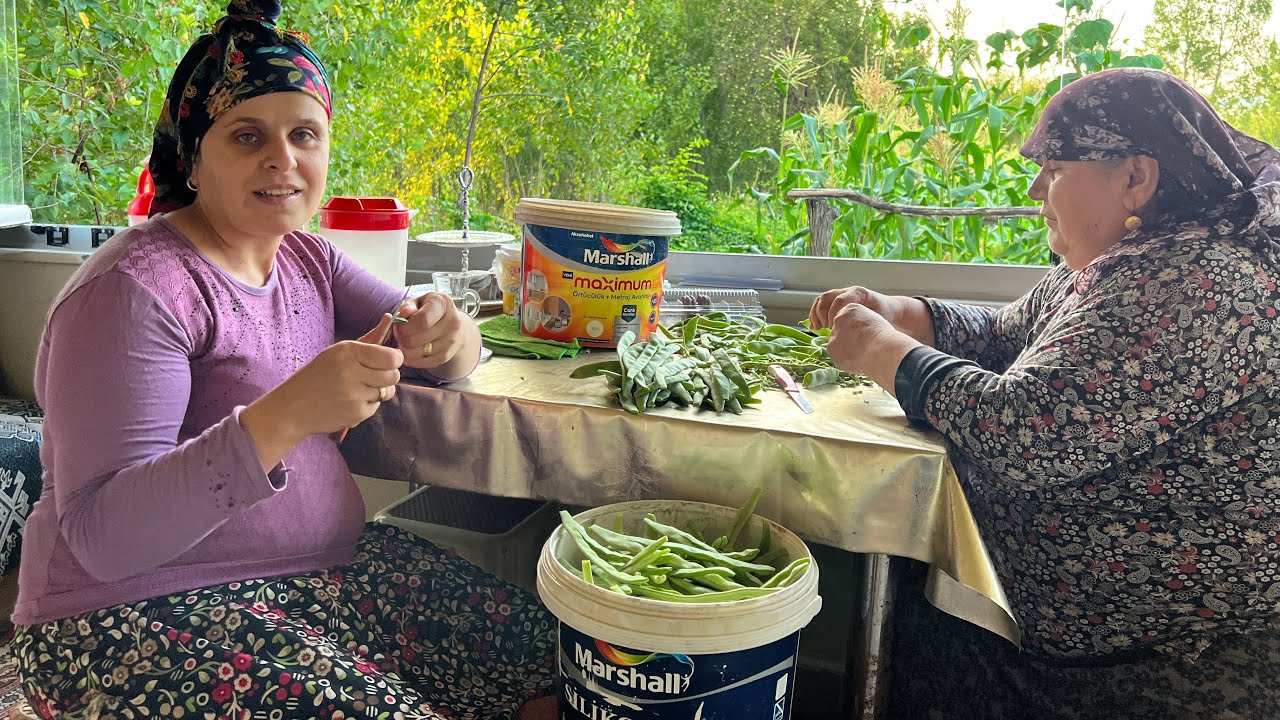 İlk nane hasadını yaptık bahçede mısır 🌽 bağ bahçe işler