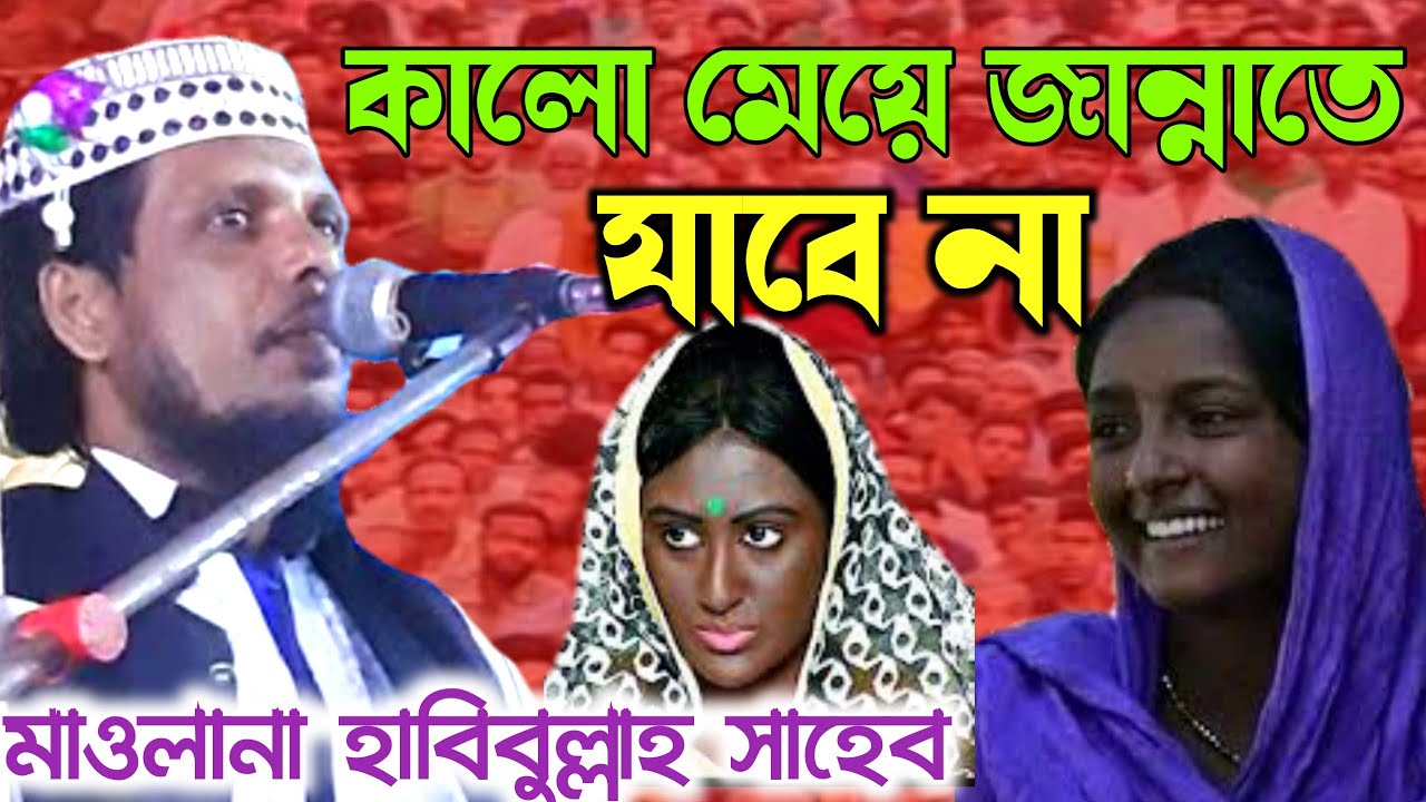 কালো মেয়ে জান্নাতে যাবে না কেন?। গুরুত্বপূর্ণ ওয়াজ মাহফিল। মাওঃ হাবিবুল্লাহ সাহেব