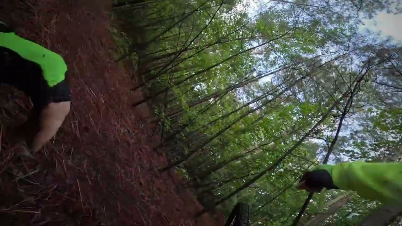 Tree....TRee.....TREEE! Mountain bike stunt LOL