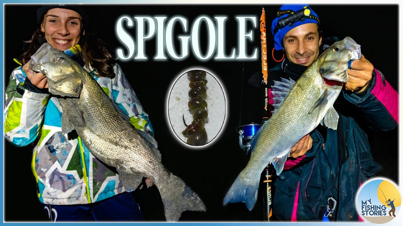 SPIGOLE dichiarate 🌊 SCADUTA di Maestrale ❄️ Pesca Surfcasting inverno 2025 Sardegna